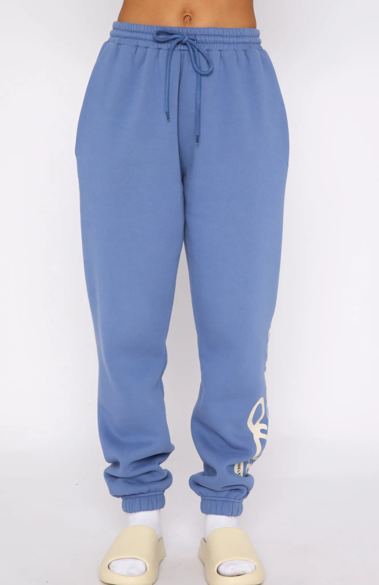 Sweatpants | White Fox Boutique Moving Different Sweatpants Dusty blue